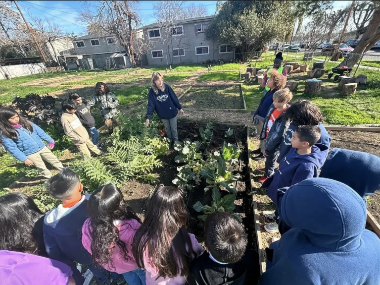 A group of children and an adult gather around a raised garden bed in a community garden, observing and learning about plants on a sunny day. Apartments and trees are visible in the background.