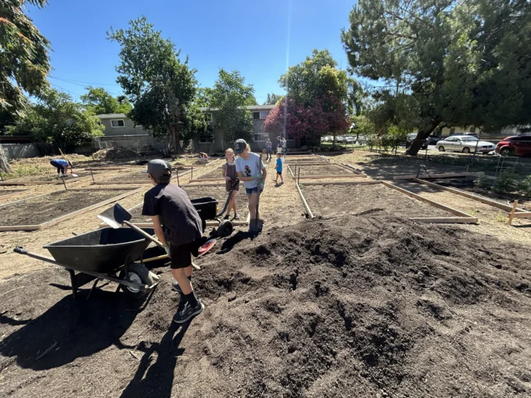 Children work together in a sunny outdoor garden area, shoveling soil into wheelbarrows and moving it to wooden garden beds, with trees, houses, and parked cars visible in the background.